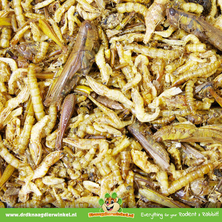 JR Farm Cóctel de proteínas 10 gramos