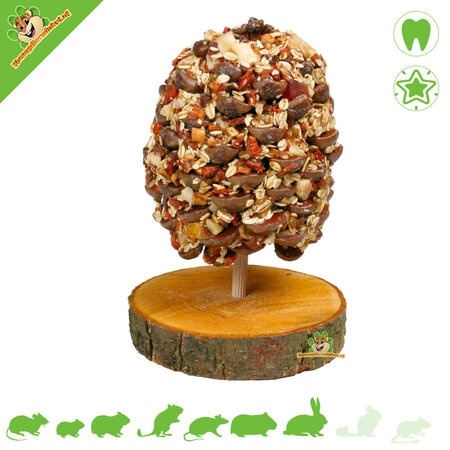 JR Farm Árbol frutal Piña 270 gramos