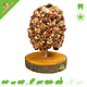 JR Farm Arbre fruitier Pomme de pin 270 grammes