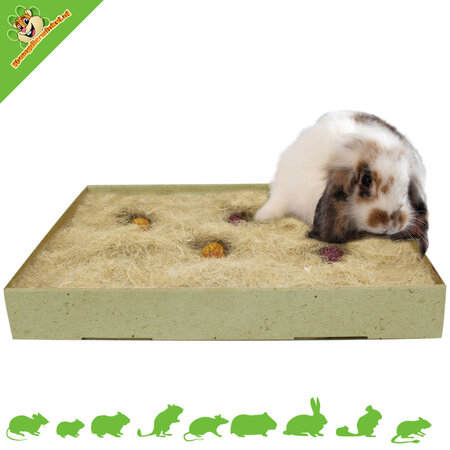 JR Farm Back to Instinct Active Foerageer Carpet 30 cm
