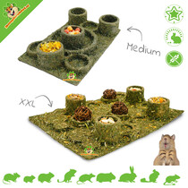 Retour au parc d'attractions Instinct Foraging Fun Park