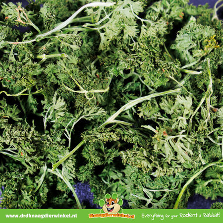 JR Farm Salade de persil