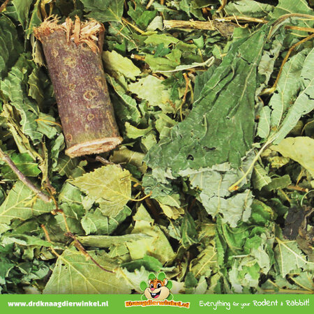 JR Farm Forest Secret Herbs for Rodents & Rabbits