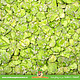 JR Farm Pea Flakes for Rodents & Rabbits