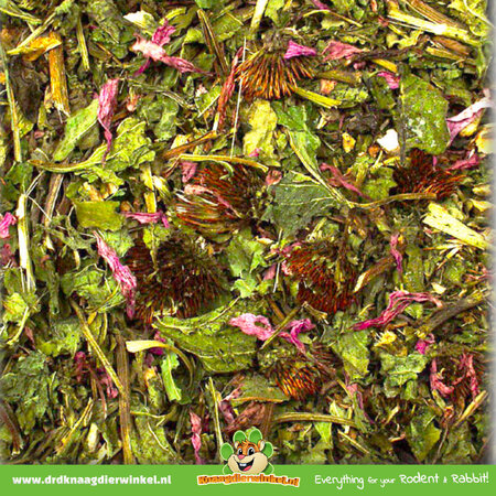 JR Farm Echinacea & Luzerne (Alfalfa) getreidefrei für Nagetiere und Kaninchen