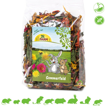 JR Farm Summer Field for Rodents & Rabbits