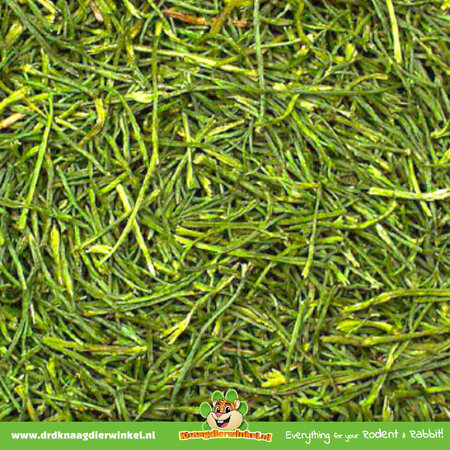 JR Farm Parsley stems