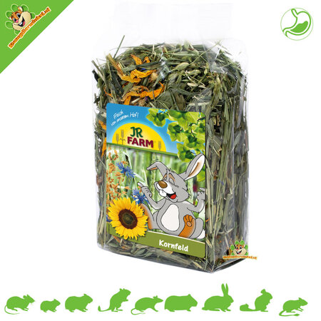 JR Farm Mieszanka pola pszenicy