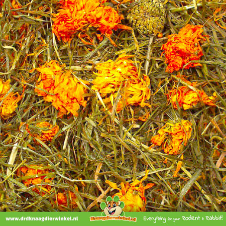 JR Farm Flower Meadow Grain-free for Rodents and Rabbits!