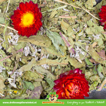 JR Farm Grainless Plus Sauge et Pissenlit