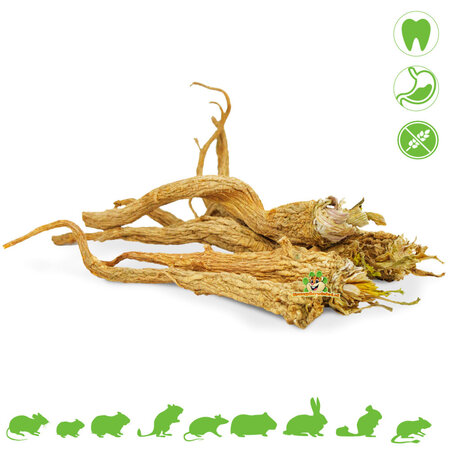 JR Farm Parsley Root for Rodents & Rabbits!