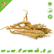 Parsley Roots 50 grams