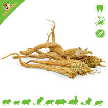Parsley Roots