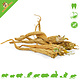 JR Farm Parsley Root for Rodents & Rabbits!