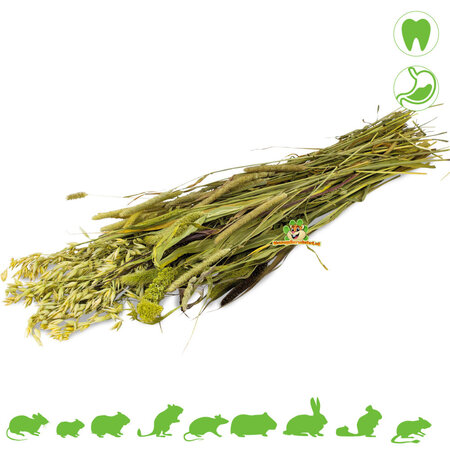 JR Farm Cosecha de pradera