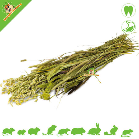 JR Farm Cosecha de pradera