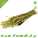 JR Farm Weideernte