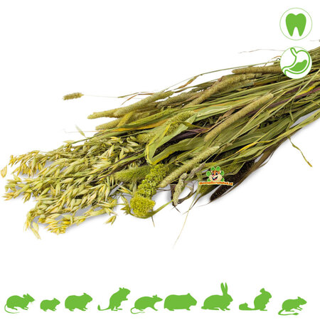 JR Farm Meadow Harvest