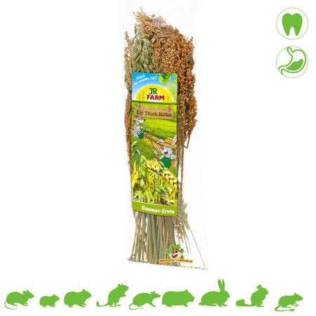 JR Farm Summer Seeds Harvest