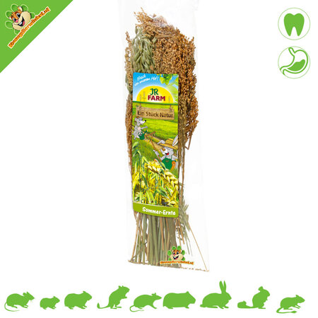 JR Farm Récolte des graines d'été