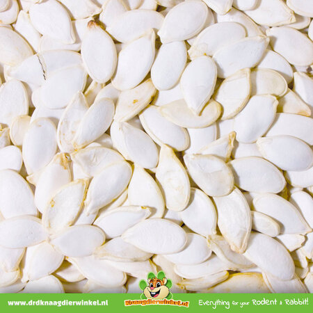 JR Farm JR Farm Pure Pumpkin Seeds for rodents and rabbits