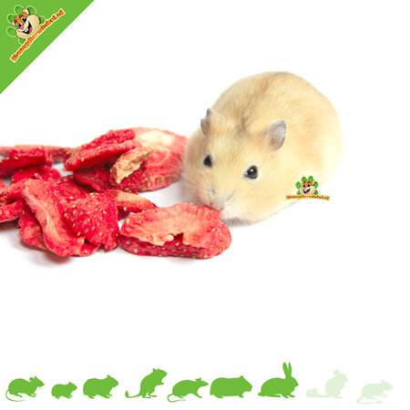 JR Farm Fresas deshidratadas puras 20 gramos