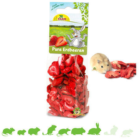 JR Farm Czyste suszone truskawki