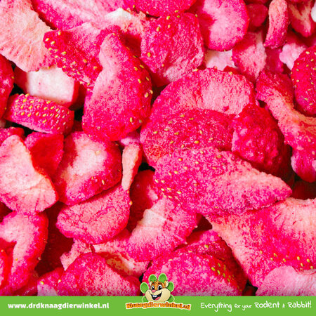 JR Farm Fresas deshidratadas puras 20 gramos