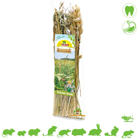 JR Farm Récolte d'herbes d'épeautre, de carvi et de graines d'alpiste des Canaries