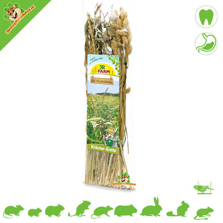 JR Farm Récolte d'herbes d'épeautre, de carvi et de graines d'alpiste des Canaries