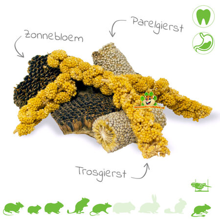 JR Farm Morceaux de tournesol, de millet perlé et de millet pulvérisé