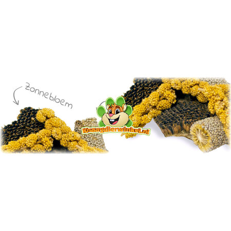 JR Farm Knabbern Sie Stücke von Sonnenblumen, Perlhirse und Spritzhirse