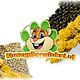 JR Farm Nibble Pieces Sunflower, Pearl Millet & Cluster Millet