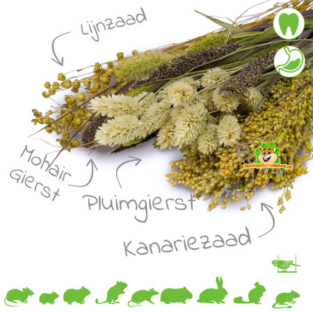 JR Farm Knabber-Potpourri-Ernte für Nagetiere und Vögel