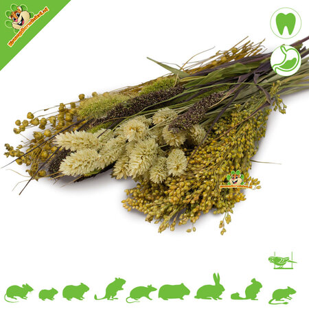 JR Farm Knabber-Potpourri-Ernte für Nagetiere und Vögel