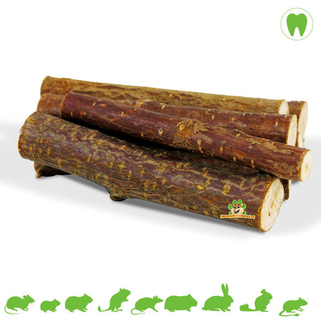 JR Farm Nibble Gnaw Wood Hazelnut