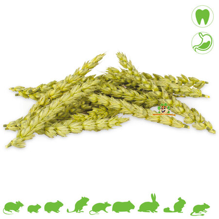 JR Farm Knabbel Aren Mix