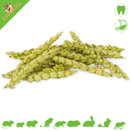 JR Farm Nibble Ears Mix