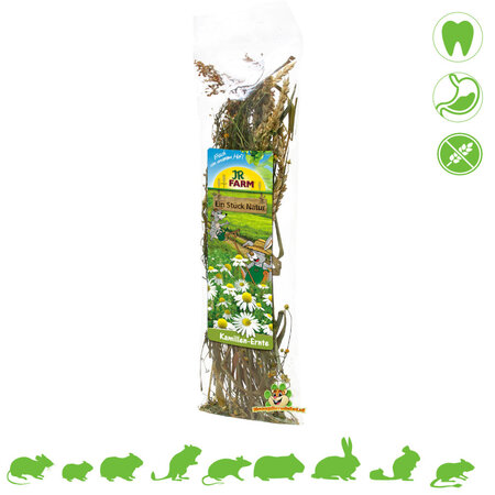 JR Farm Zbiór rumianku