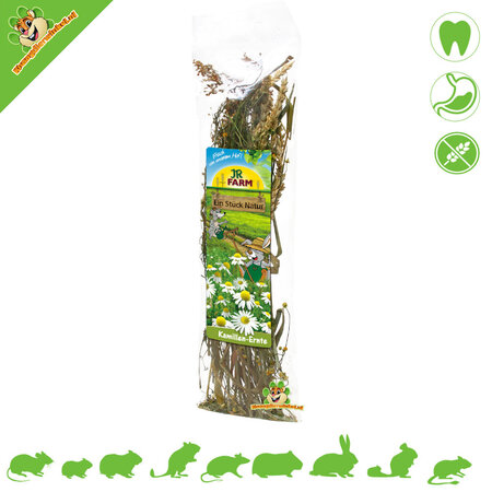 JR Farm Récolte de camomille