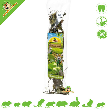 JR Farm Récolte des noisettes