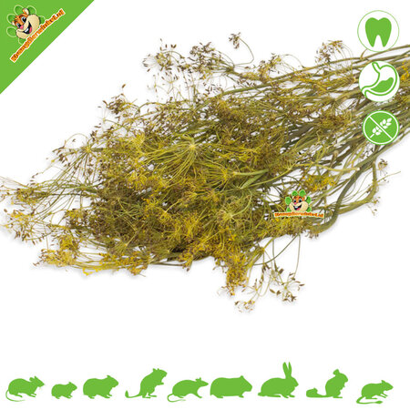 JR Farm Dill Harvest Grain Free für Nagetiere und Kaninchen