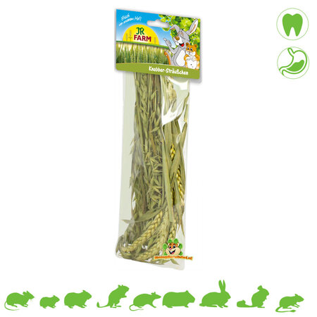 JR Farm Mieszanka kłosów zielonej pszenicy Nibble Harvest