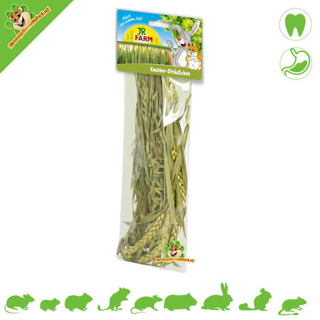 JR Farm Mélange d'épis de blé vert Nibble Harvest