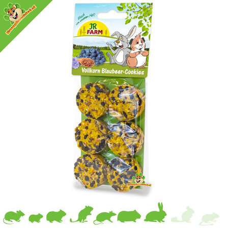 JR Farm Ciasteczka pełnoziarniste z jagodami 120 gramów