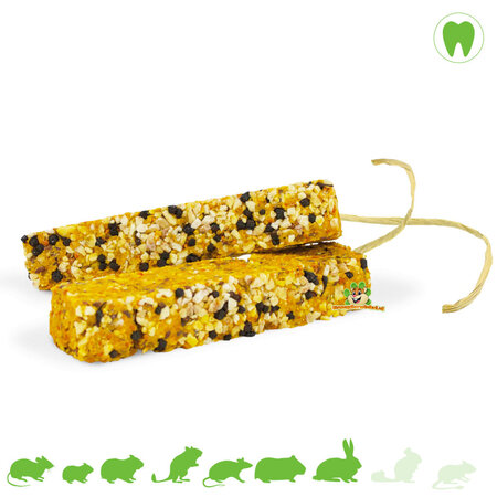 JR Farm Farmys Banaan & Bosbes Sticks 160 gram