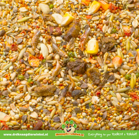 JR Farm Hamster Schmaus 600 gramos Comida para hámster