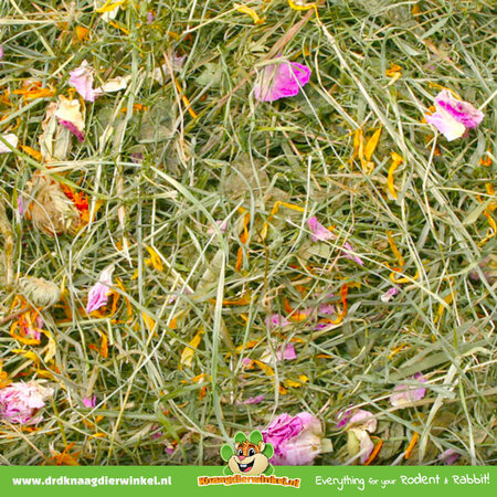 JR Farm Zomer Weidehooi 500 gram