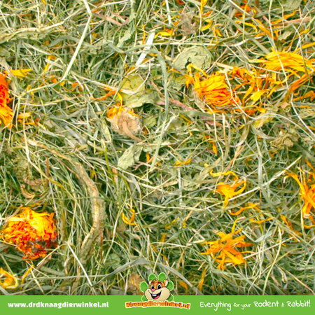 JR Farm ¡Heno de diente de león para prados, 500 gramos, para roedores y conejos!