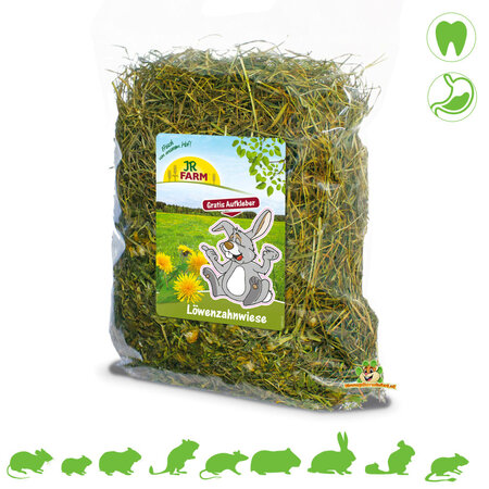 JR Farm Löwenzahnwiesenheu 500 Gramm für Nagetiere und Kaninchen!